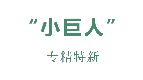 喜报！优发国际荣获专精特新“小巨人”声誉称呼