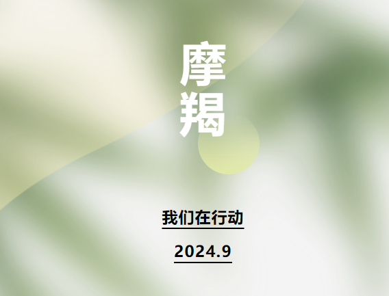 休戚相关 共克艰难——台风“摩羯”过境后，优发国际在行动