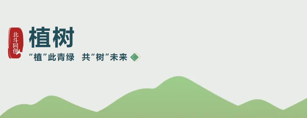 “植”此青绿  共“树”未来| 优发国际开展 秋季沙漠义务植树活动